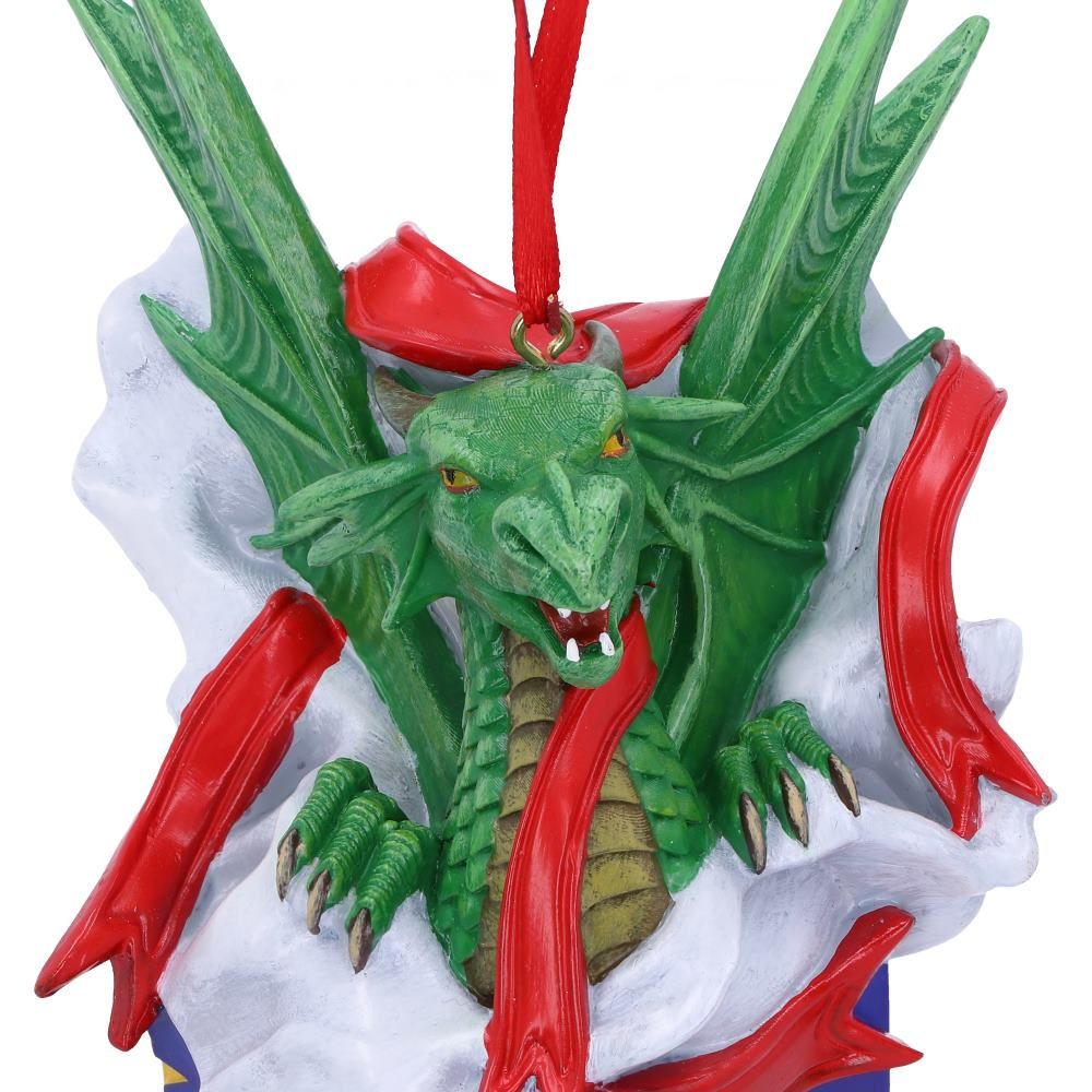 Surprise Gift dragon Anne Stokes