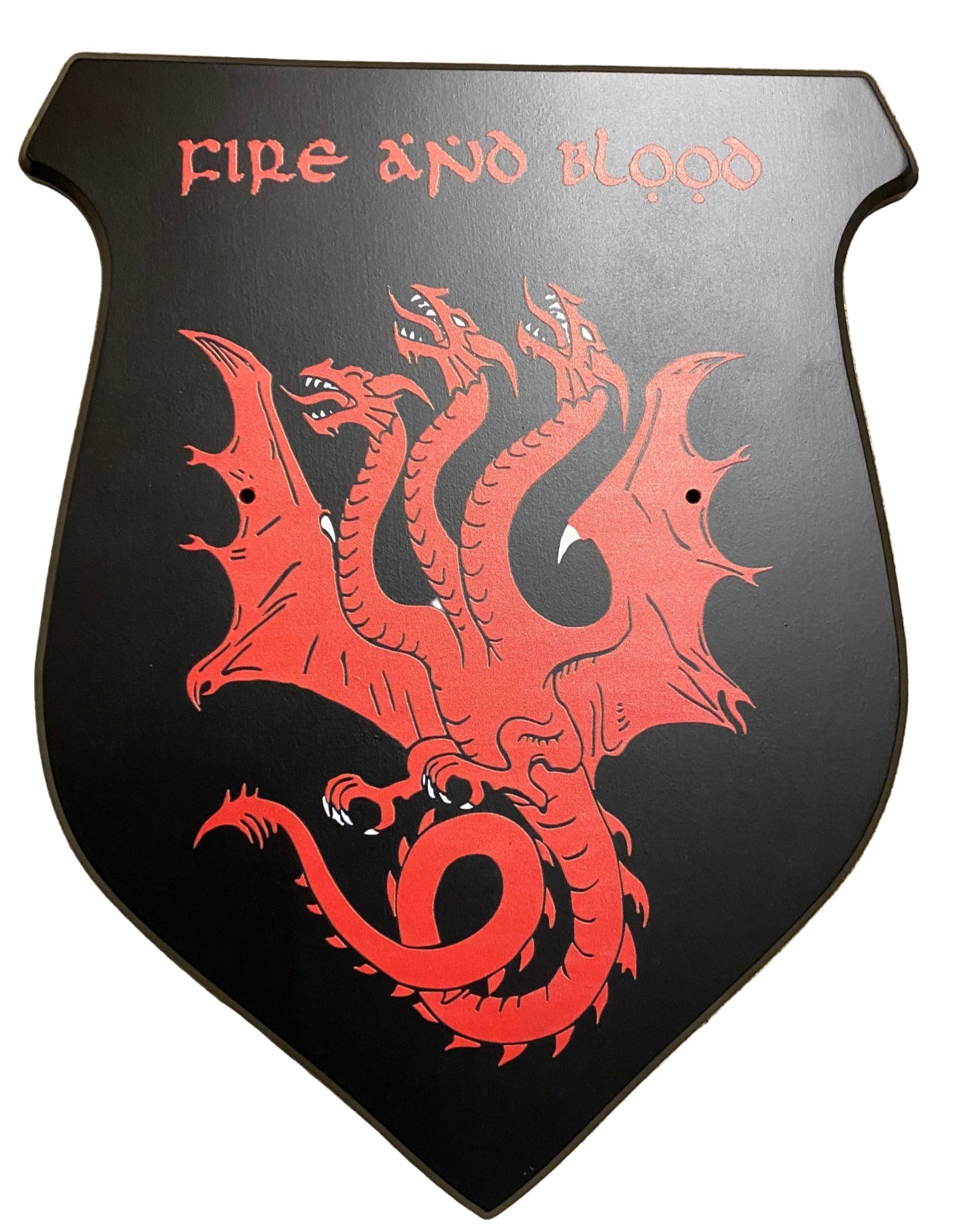 Black plaque with red dragon design and 'Fire and Blood' text on a beige carpet.