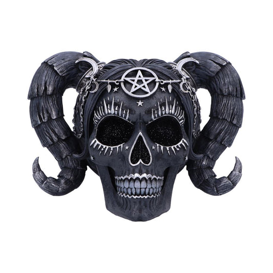 Drop Dead Gorgeous | Solve & Coagula | Skull