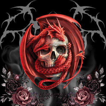 What is Anne Stokes Collection?
