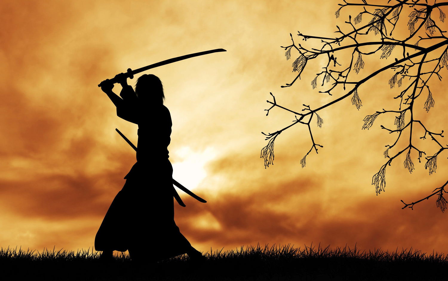 Samurai Straight Swords