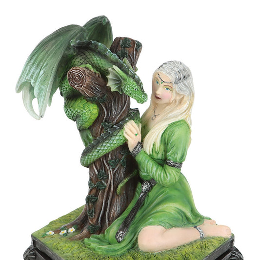Dragon Friendship Summer Box