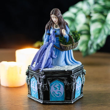 Dragon Friendship Winter Box