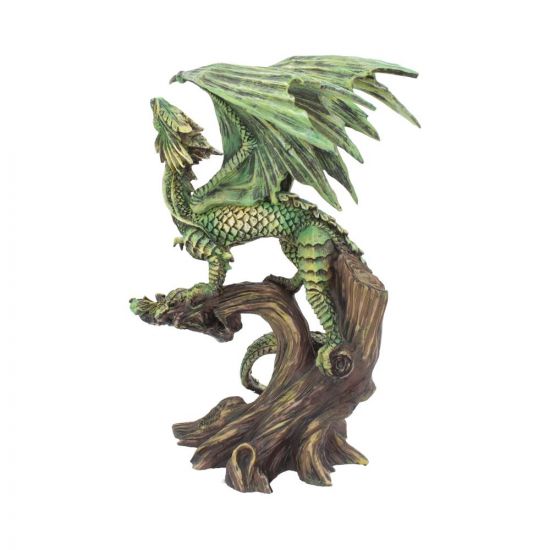 Adult Forest Dragon Anne Stokes