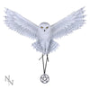 Awaken Your Magic - Anne Stokes