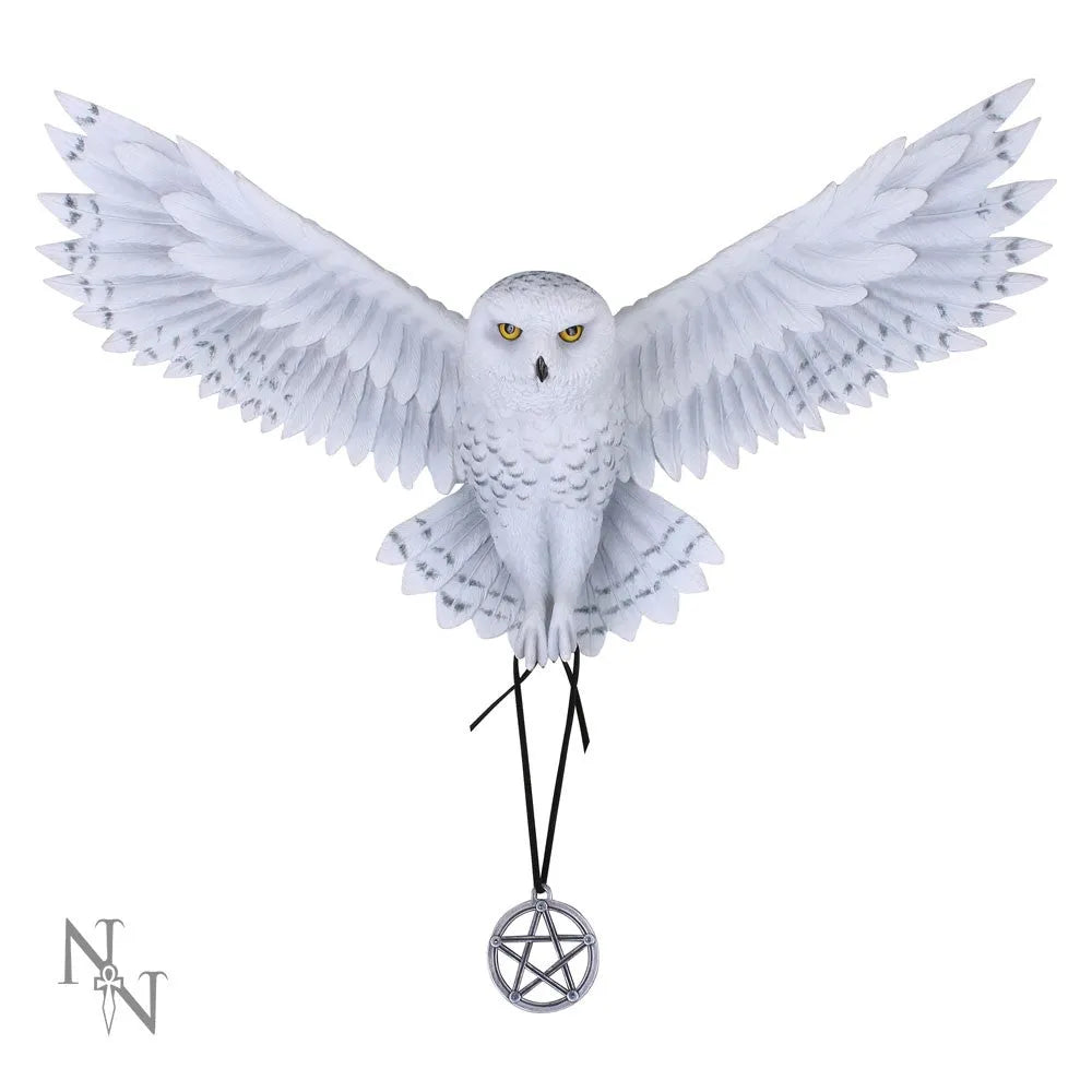 Awaken Your Magic - Anne Stokes