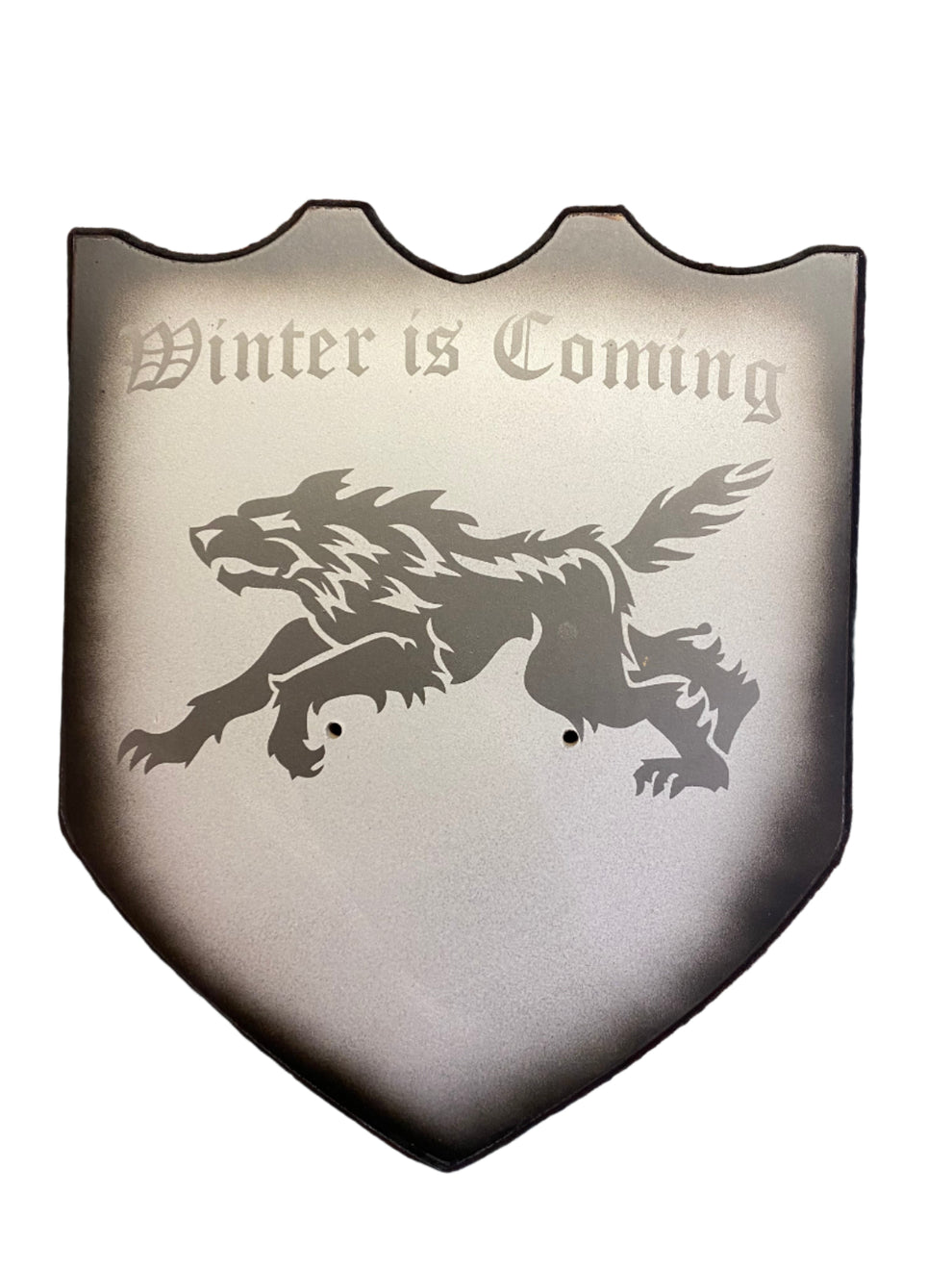 Shield with a lion emblem and 'Winter is Coming' text on a white background