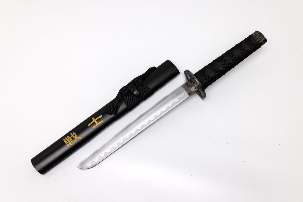 Sword with black sheath on a white background