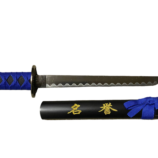 Sword with blue handle and black sheath on a white background