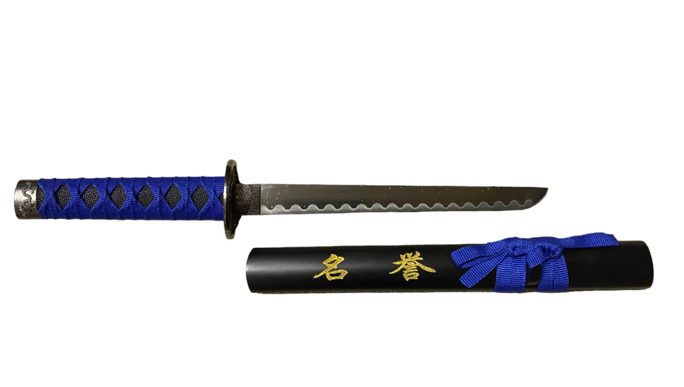 Sword with blue handle and black sheath on a white background