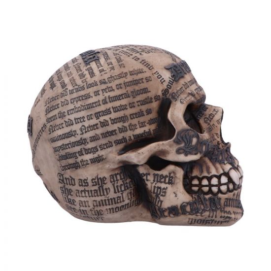 Draculas Tale Skull