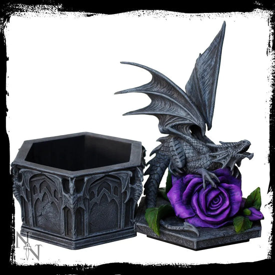 Dragon Beauty Box - Anne Stokes