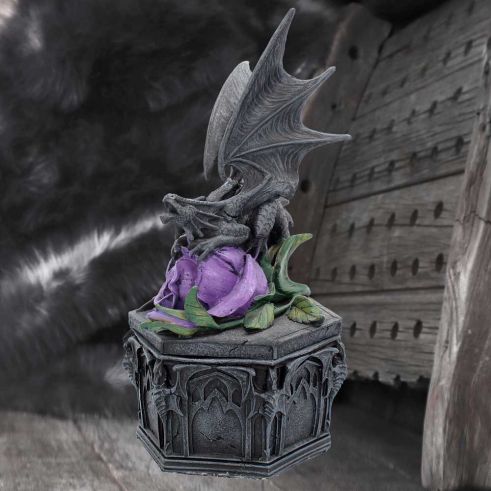 Dragon Beauty Box - Anne Stokes