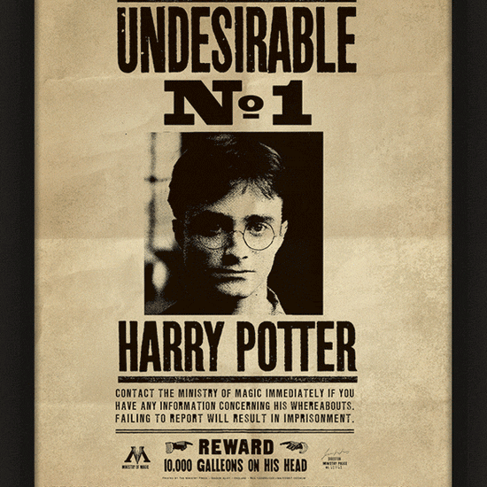 Harry Potter "Harry & Sirus 3D Framed Picture