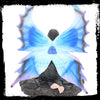 Immortal Flight - Anne Stokes