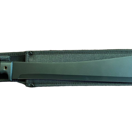 Knife with a sheath on a white background