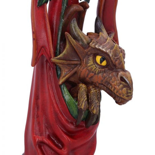 Magical Arrival Dragon Anne Stokes