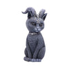 Pawzuph Horned Black Cat