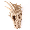 Skeleton Dragon Skull