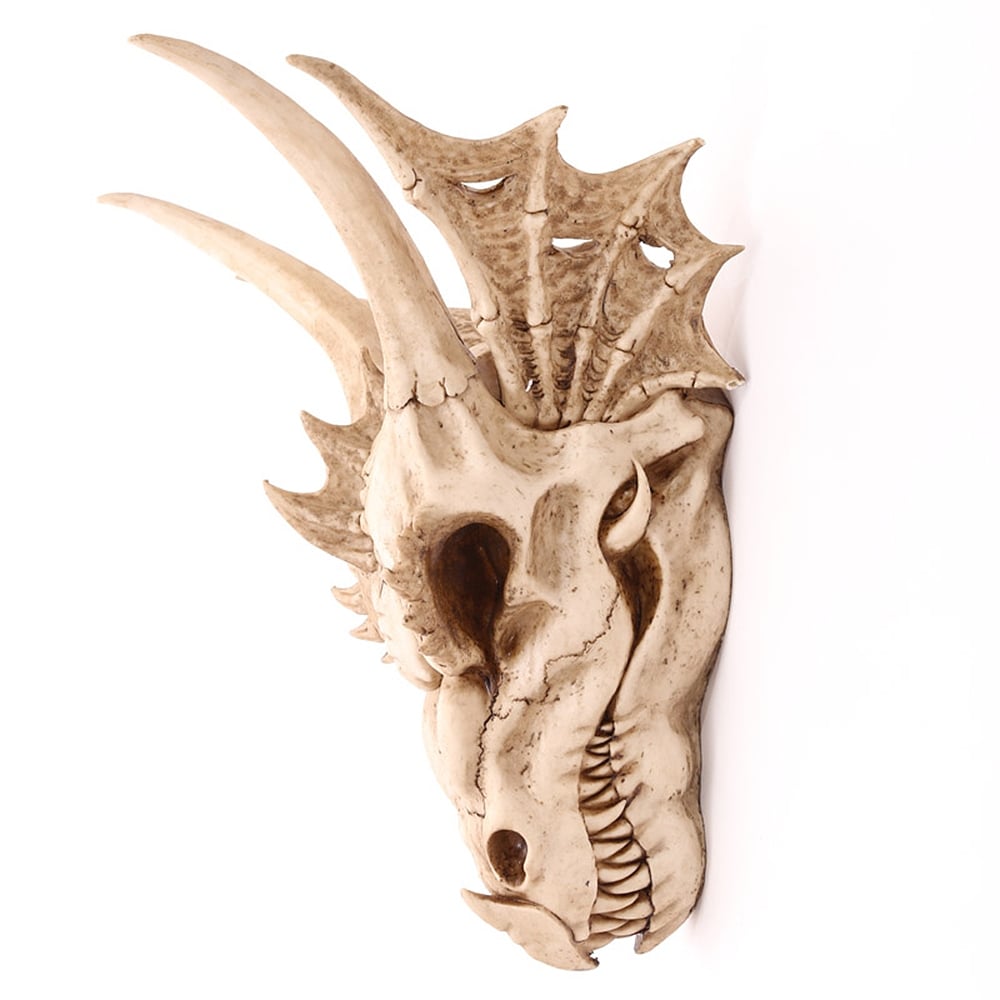 Skeleton Dragon Skull