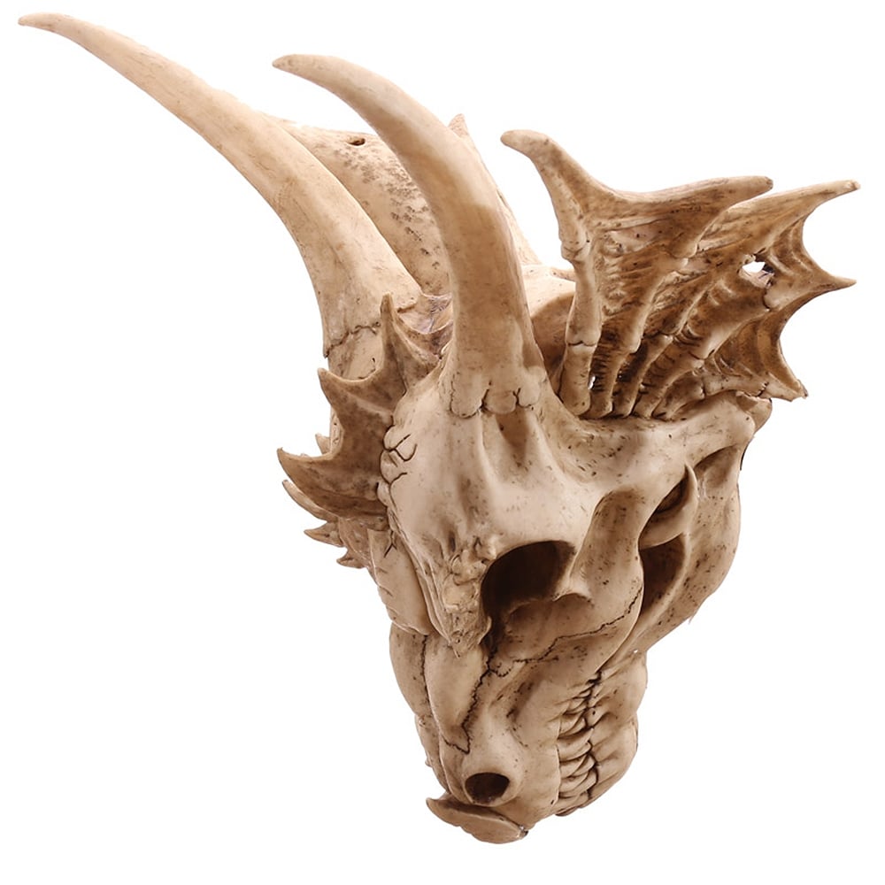 Skeleton Dragon Skull