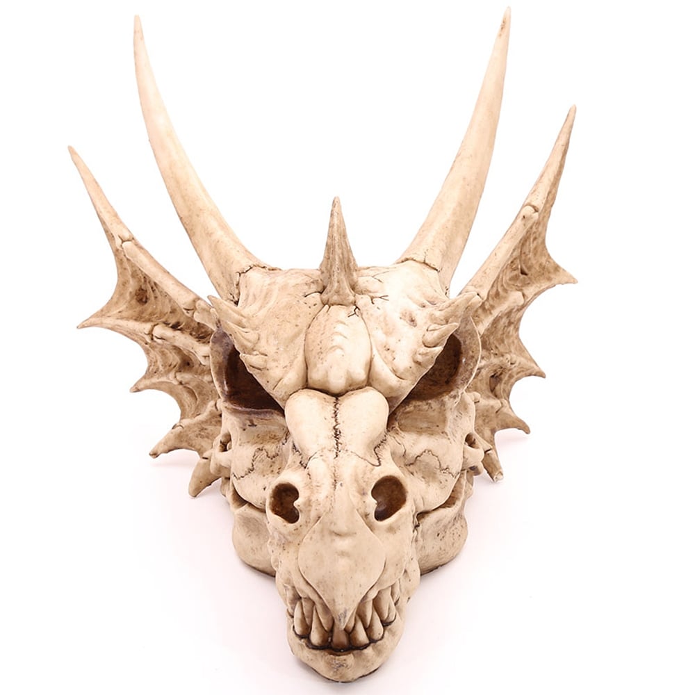 Skeleton Dragon Skull
