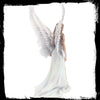 Spirit Guide - Anne Stokes