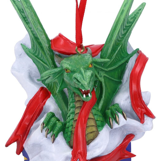 Surprise Gift dragon Anne Stokes