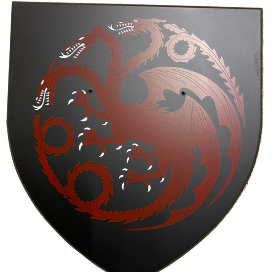 Black shield with red dragon design 
