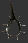 Witch King of Angmar Lord of the Rings Helmet