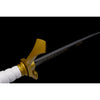 Verso Verleso Clair Obscur Expedition 33 Version 3 Sword