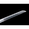 Aranami’s Claw Ghost of Yōtei Sword