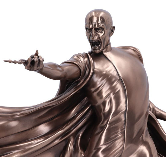 Voldemort Duel Harry Potter