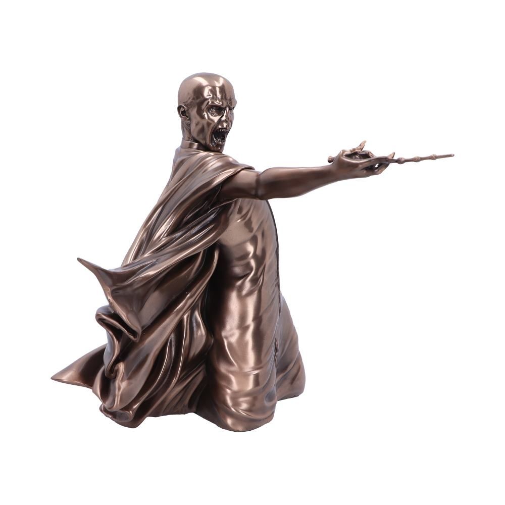 Voldemort Duel Harry Potter