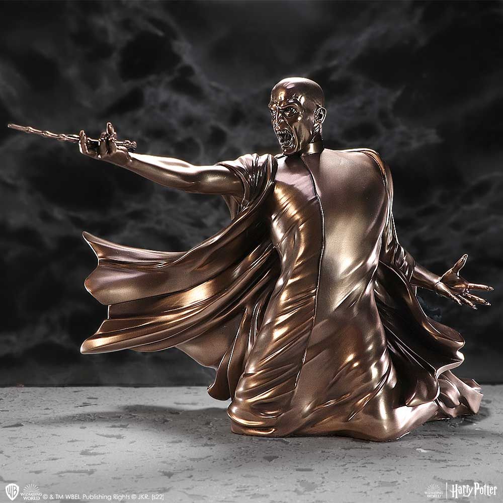 Voldemort Duel Harry Potter