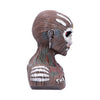 Book of Souls Bust Box Iron Maiden