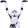 Crane Kick Storm Trooper