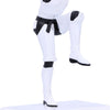 Crane Kick Storm Trooper