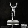 Crane Kick Storm Trooper