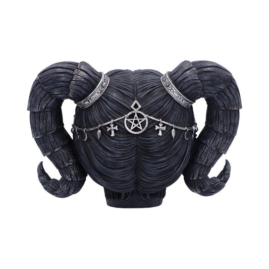 Drop Dead Gorgeous | Solve & Coagula | Skull