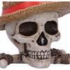 Luffy Jolly Roger One Piece Box