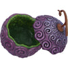 Devil Fruit One Piece Box