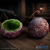 Devil Fruit One Piece Box