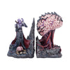 Illithid Bookends Dungeons & Dragons