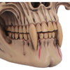 The Lord of the Night Dracula Hall of Horrors Skull