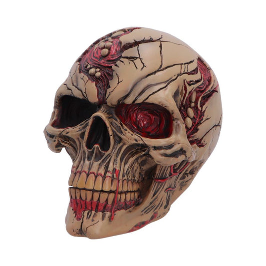 The Walker of Death Hall of Horrors Skull