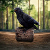 Ravens Cry | Sound Motion | Figurine