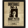 Harry Potter "Harry & Sirus 3D Framed Picture