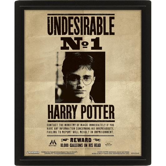 Harry Potter "Harry & Sirus 3D Framed Picture
