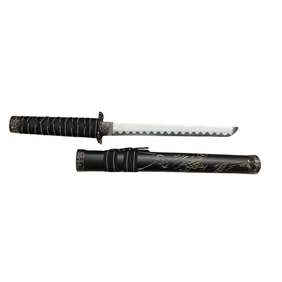 Sword with black sheath on a white background